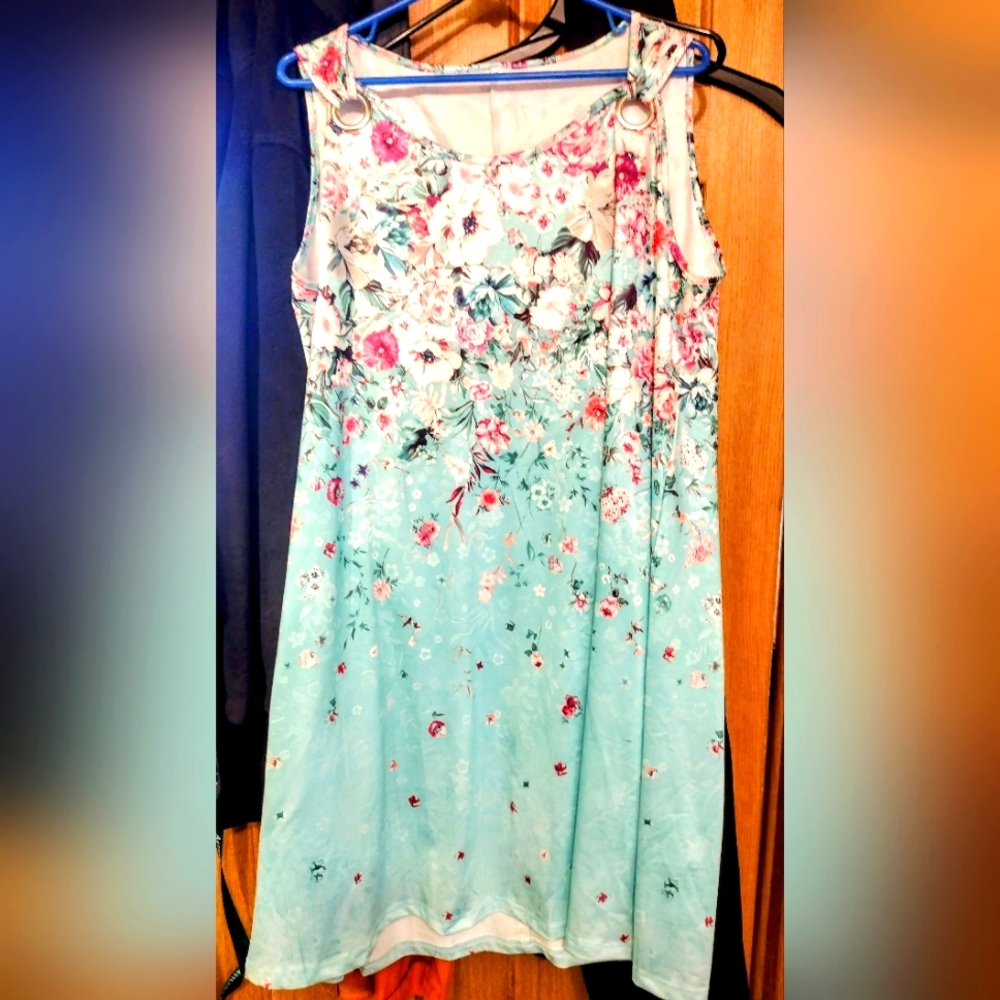 Chic Blue and Pink Dress